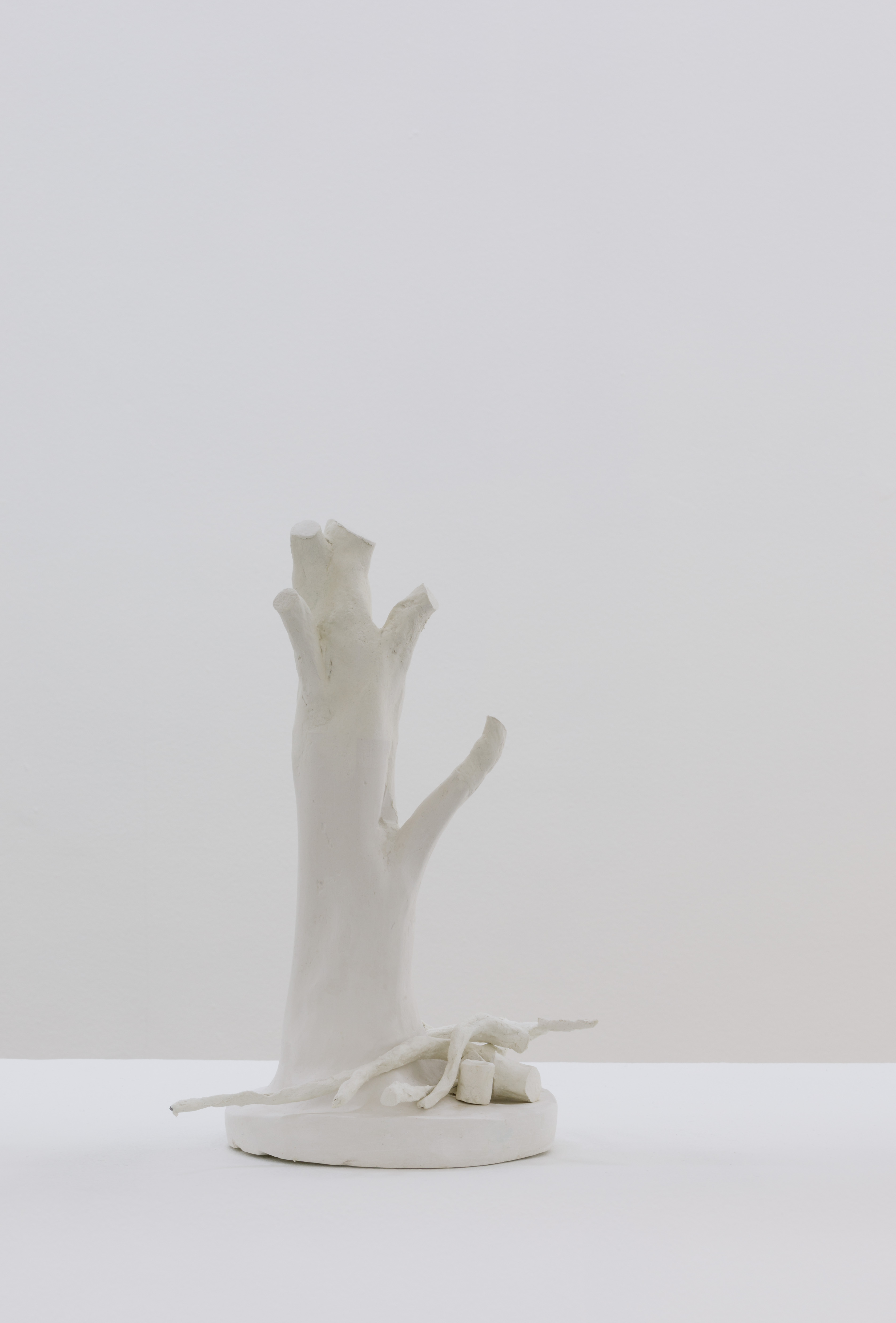 Andy Fitz - Stumped
